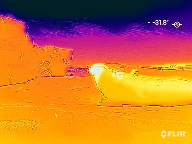 thermal antarctic seal.jpg