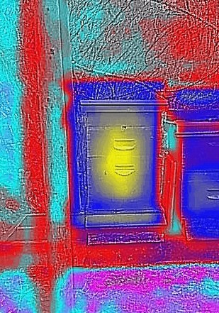 Flir-image-hive-4-April.jpg